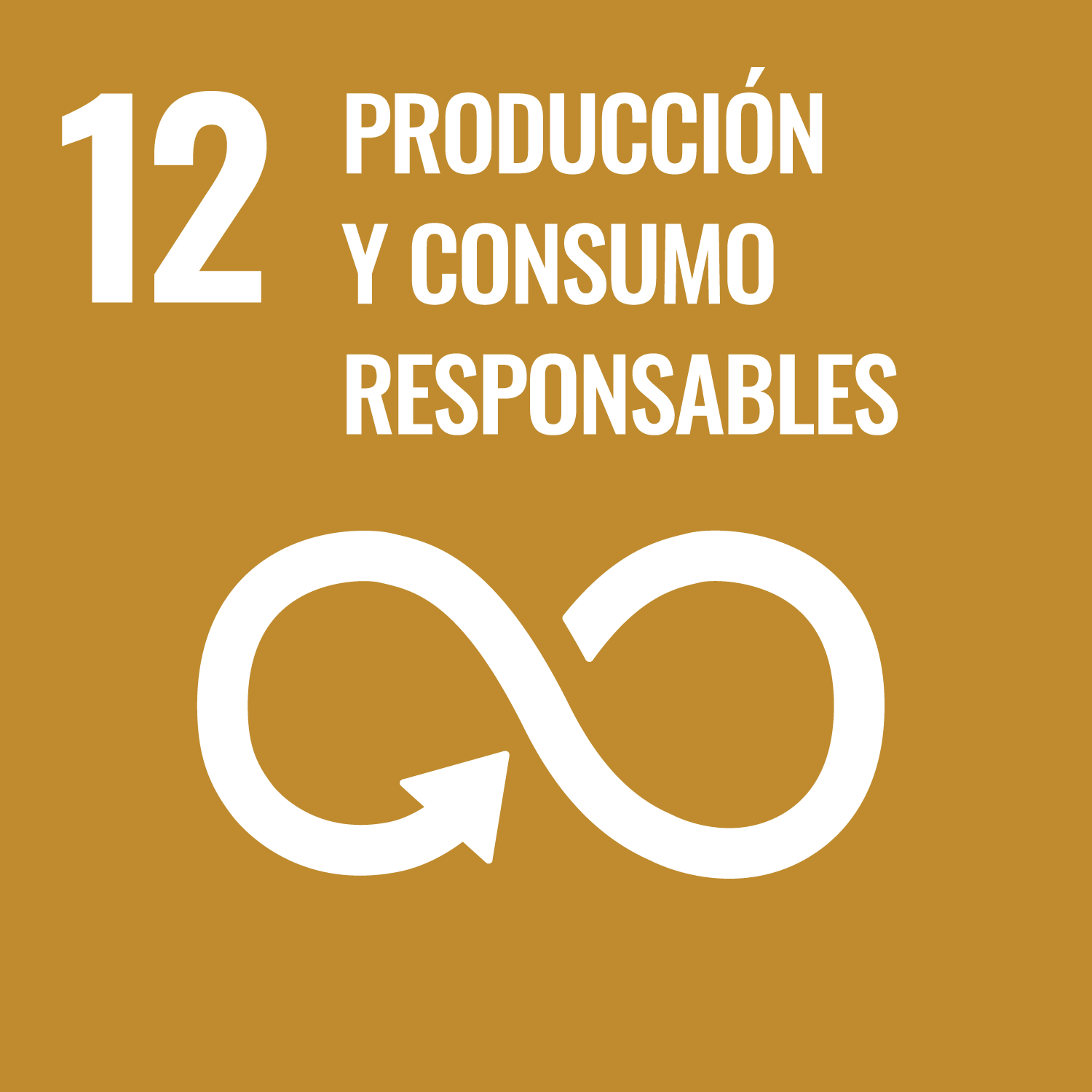 s-web-goal-12